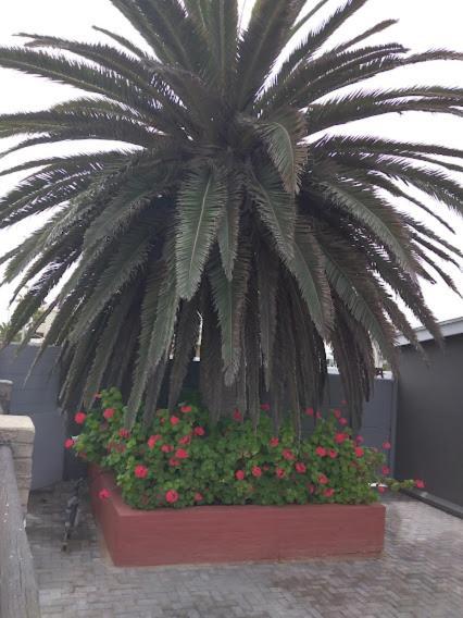 20 On Beach Road Swakopmund Exterior foto